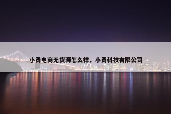 小勇电商无货源怎么样，小勇科技有限公司