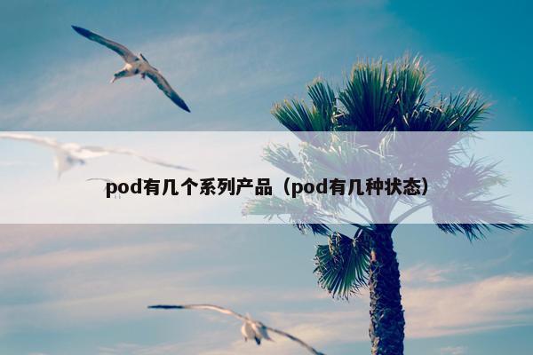 pod有几个系列产品（pod有几种状态）