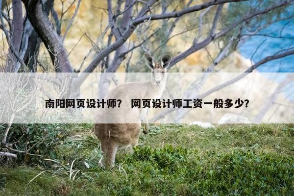 南阳网页设计师？ 网页设计师工资一般多少？