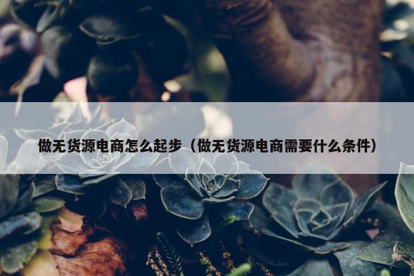 做无货源电商怎么起步（做无货源电商需要什么条件）