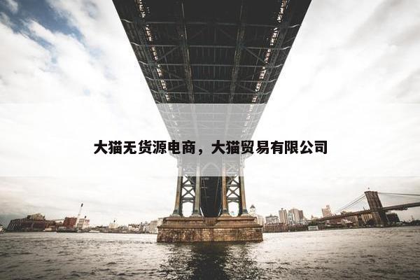 大猫无货源电商，大猫贸易有限公司