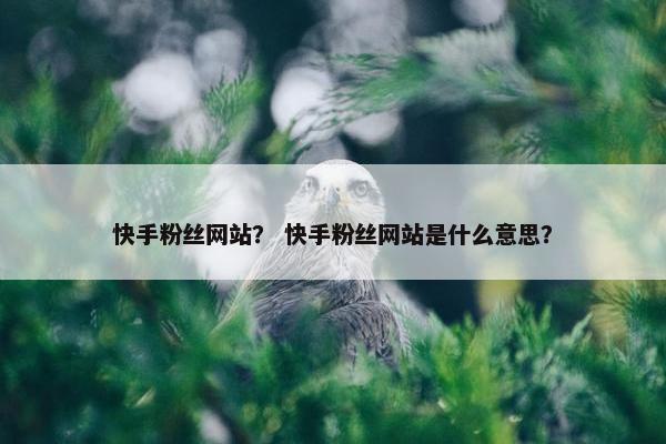 快手粉丝网站？ 快手粉丝网站是什么意思？
