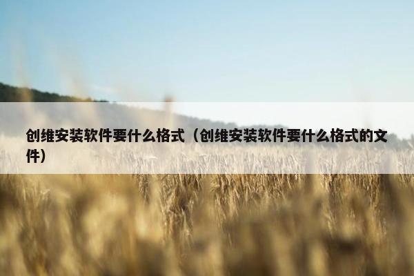 创维安装软件要什么格式（创维安装软件要什么格式的文件）