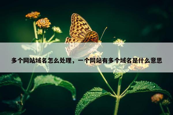 多个网站域名怎么处理，一个网站有多个域名是什么意思