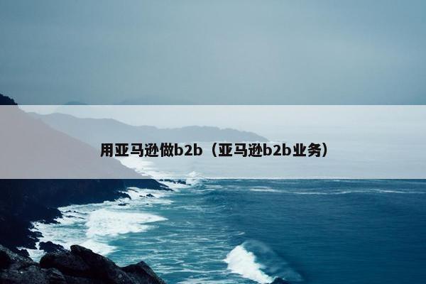 用亚马逊做b2b（亚马逊b2b业务）