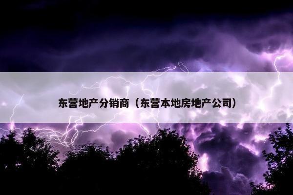东营地产分销商（东营本地房地产公司）