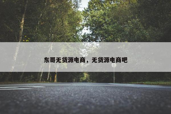 东哥无货源电商，无货源电商吧