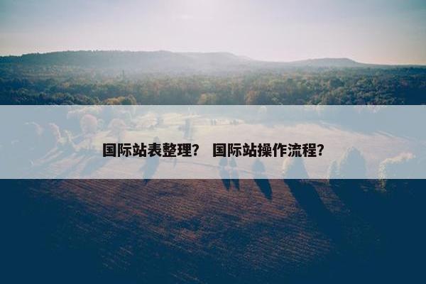 国际站表整理？ 国际站操作流程？