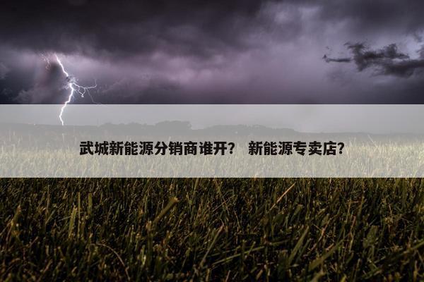 武城新能源分销商谁开？ 新能源专卖店？