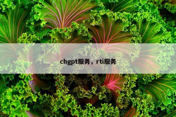 chgpt服务，rti服务