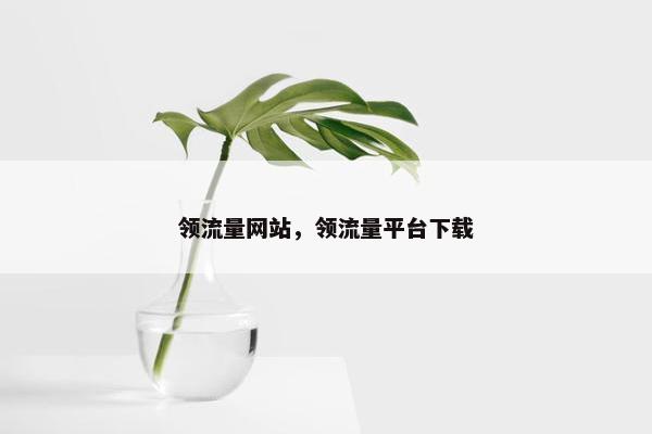 领流量网站，领流量平台下载