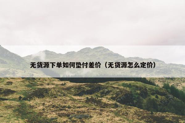 无货源下单如何垫付差价（无货源怎么定价）