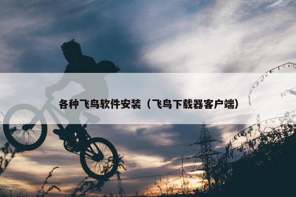 各种飞鸟软件安装（飞鸟下载器客户端）