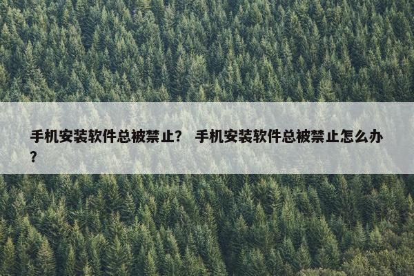 手机安装软件总被禁止？ 手机安装软件总被禁止怎么办？