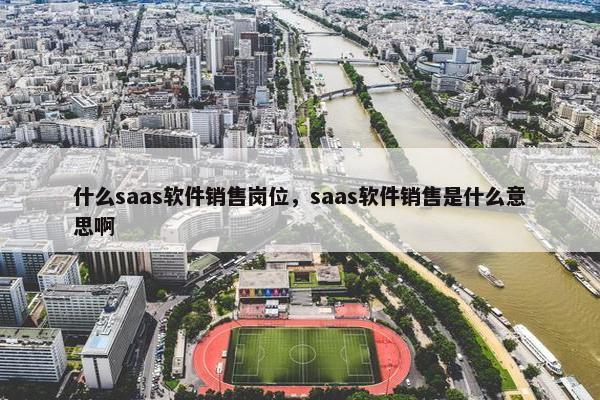什么saas软件销售岗位，saas软件销售是什么意思啊