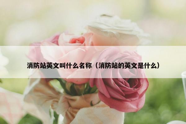 消防站英文叫什么名称（消防站的英文是什么）