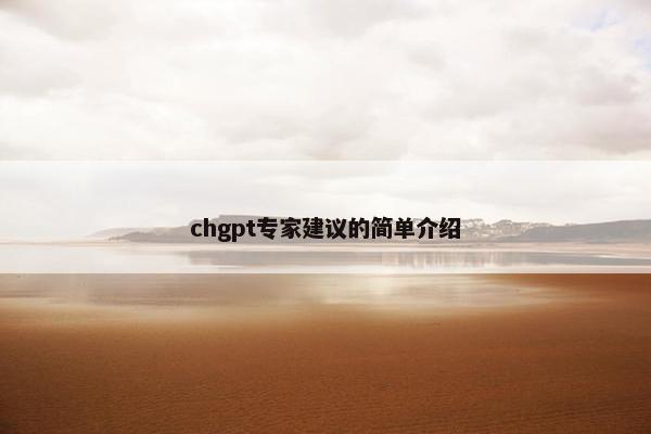 chgpt专家建议的简单介绍