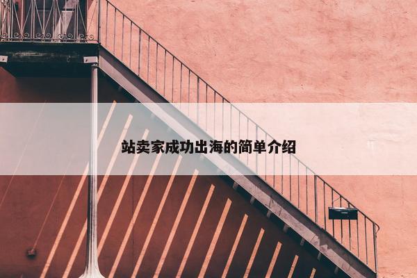 站卖家成功出海的简单介绍