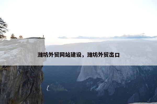 潍坊外贸网站建设，潍坊外贸出口