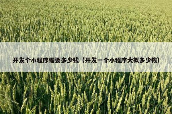 开发个小程序需要多少钱（开发一个小程序大概多少钱）