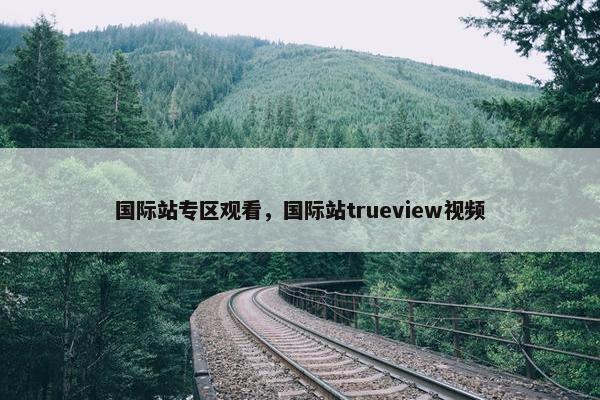 国际站专区观看，国际站trueview视频