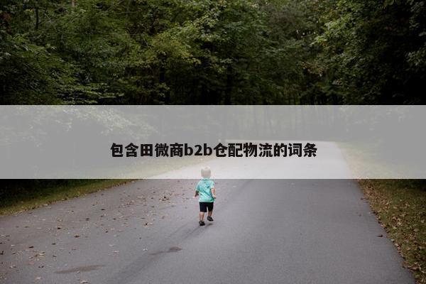 包含田微商b2b仓配物流的词条
