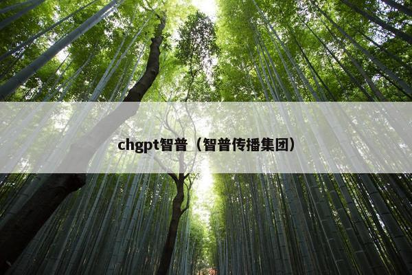 chgpt智普（智普传播集团）