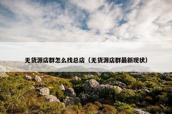 无货源店群怎么找总店（无货源店群最新现状）