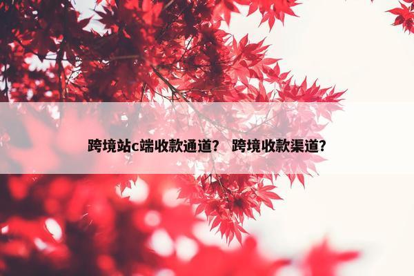 跨境站c端收款通道？ 跨境收款渠道？