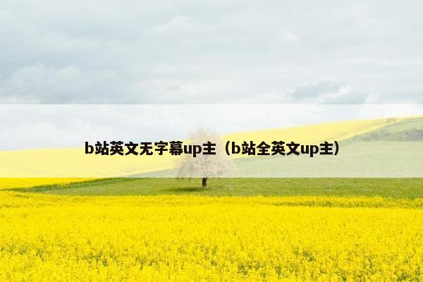 b站英文无字幕up主（b站全英文up主）