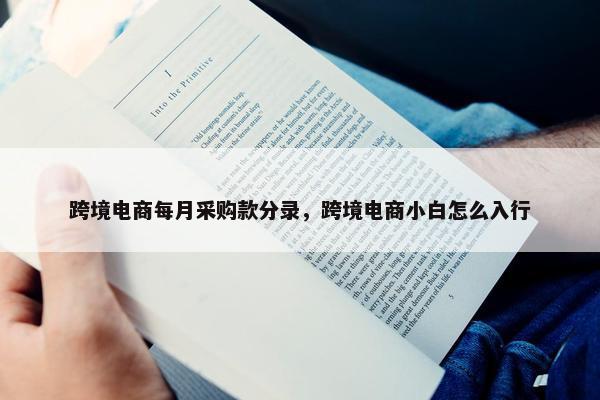 跨境电商每月采购款分录，跨境电商小白怎么入行