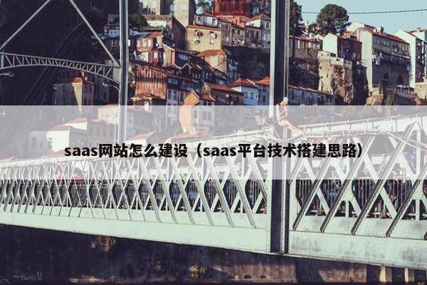 saas网站怎么建设（saas平台技术搭建思路）