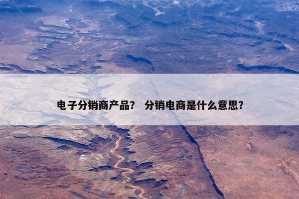 电子分销商产品？ 分销电商是什么意思？