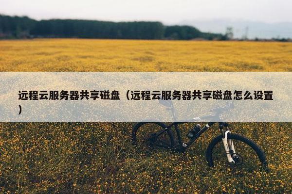 远程云服务器共享磁盘（远程云服务器共享磁盘怎么设置）