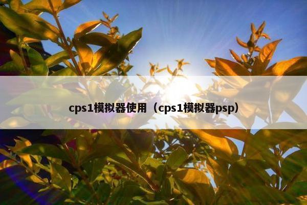 cps1模拟器使用（cps1模拟器psp）