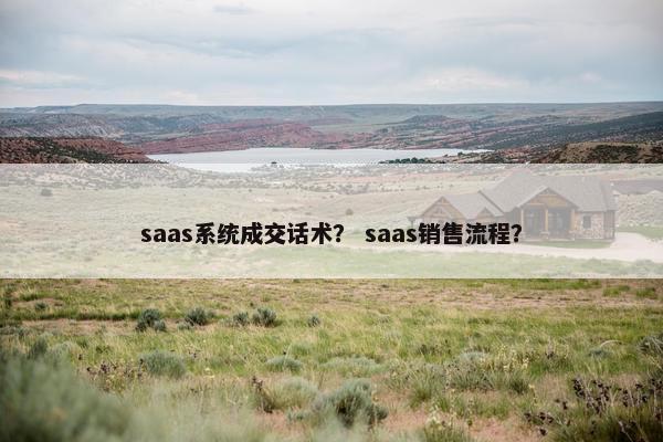saas系统成交话术？ saas销售流程？