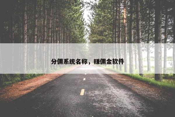 分佣系统名称，赚佣金软件