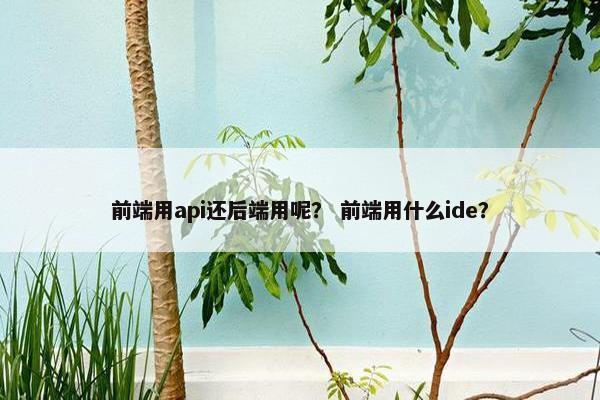 前端用api还后端用呢？ 前端用什么ide？