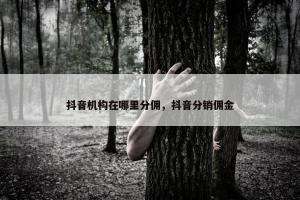 抖音机构在哪里分佣，抖音分销佣金