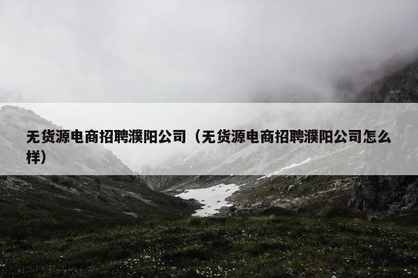 无货源电商招聘濮阳公司（无货源电商招聘濮阳公司怎么样）
