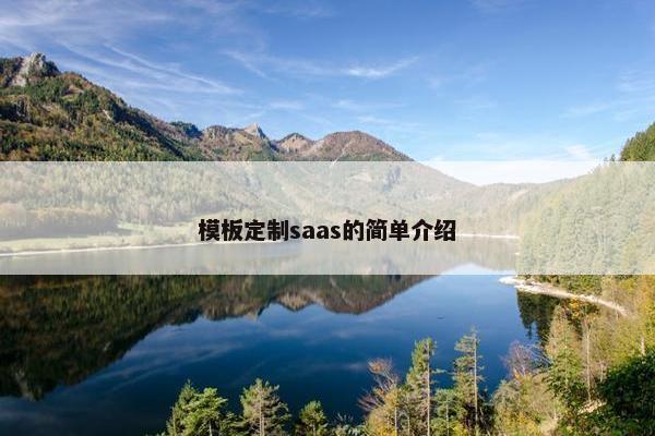 模板定制saas的简单介绍