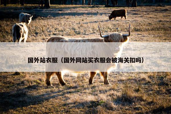 国外站衣服（国外网站买衣服会被海关扣吗）