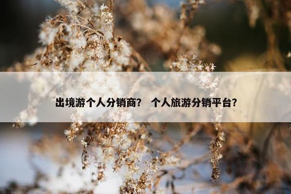 出境游个人分销商？ 个人旅游分销平台？