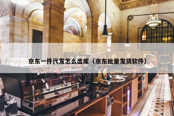 京东一件代发怎么出库（京东批量发货软件）