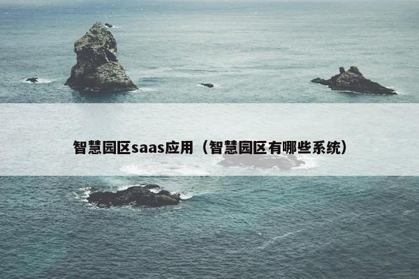 智慧园区saas应用（智慧园区有哪些系统）