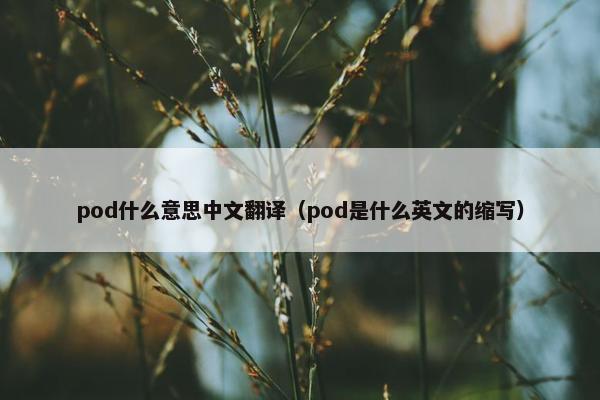 pod什么意思中文翻译（pod是什么英文的缩写）
