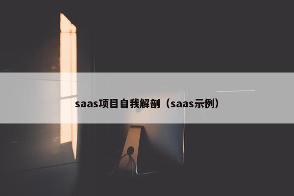 saas项目自我解剖（saas示例）