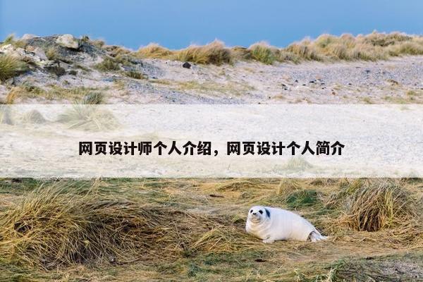 网页设计师个人介绍，网页设计个人简介