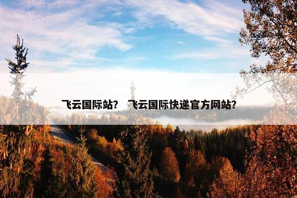 飞云国际站？ 飞云国际快递官方网站？