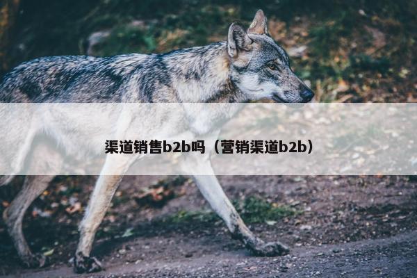 渠道销售b2b吗（营销渠道b2b）